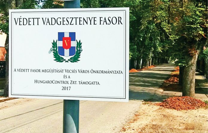 gesztenyesor_01