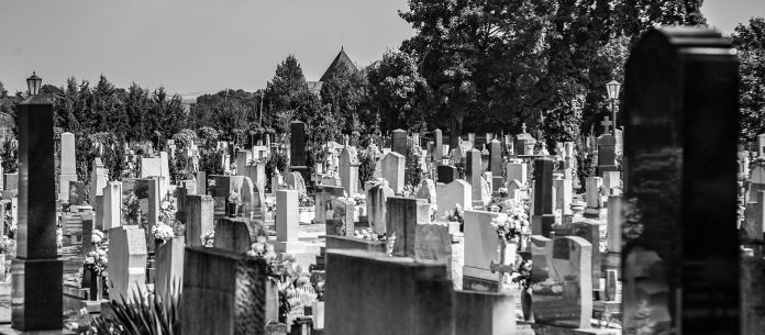 _MG_5285