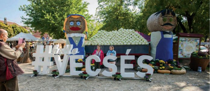 kaposztafeszt_01